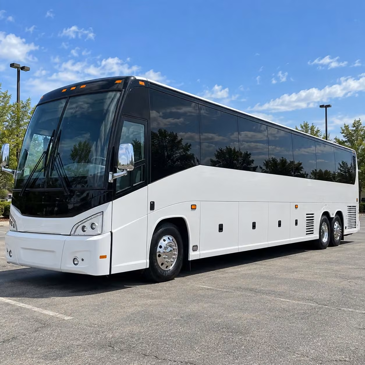 compare prom transportation packages from a network of bus companies serving corona